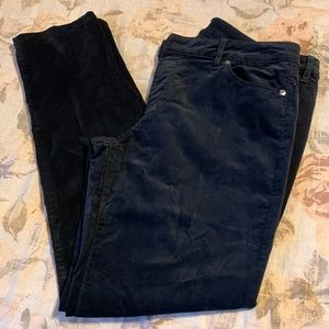 Loft Outlet Black Brushed Cotton Curvy Skinny Pants, Curvy 10